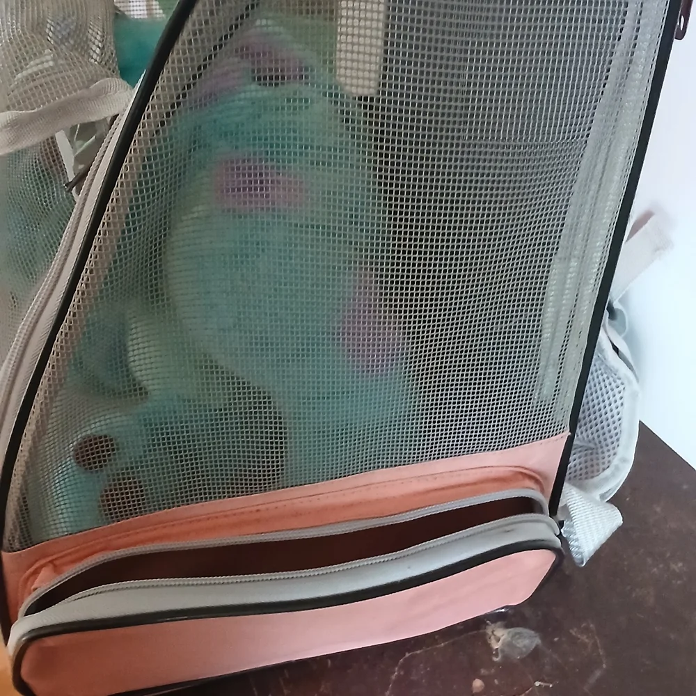 Unique Bargains Pet Backpack Foldable Pet Backpack for Cats and Small Dogs